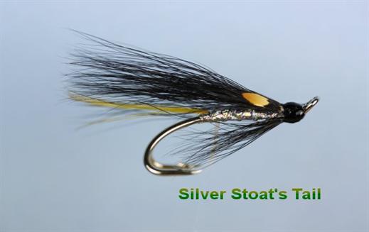 Silver Stoat's Tail JC